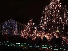 077 Toledo Zoo Light Show [2008 Dec 27]